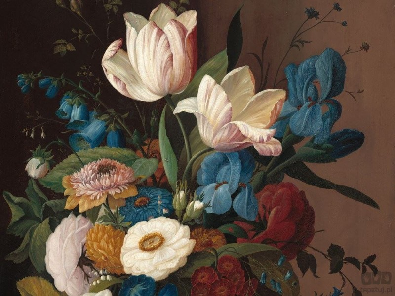 Fototapeta Dark Tulip
