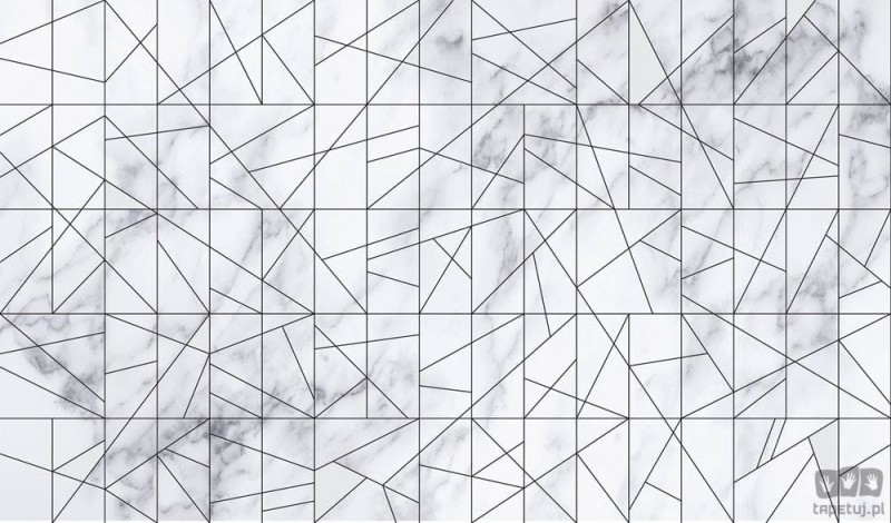 Fototapeta Marble Veins Black