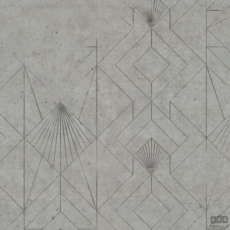 Fototapeta Concrete Fan Grey