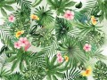 Fototapeta Tropic