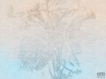 Fototapeta Sisal ombre flower