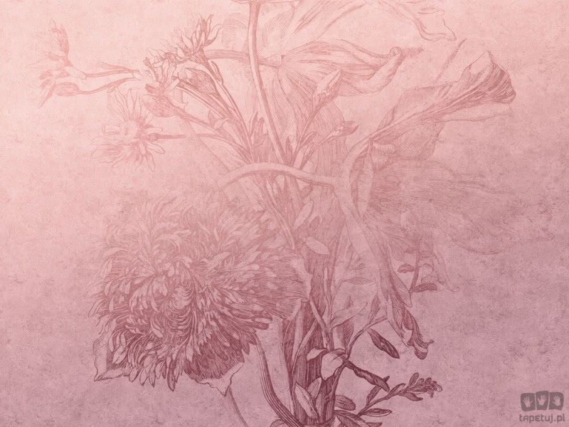 Fototapeta Blossom ombre flower