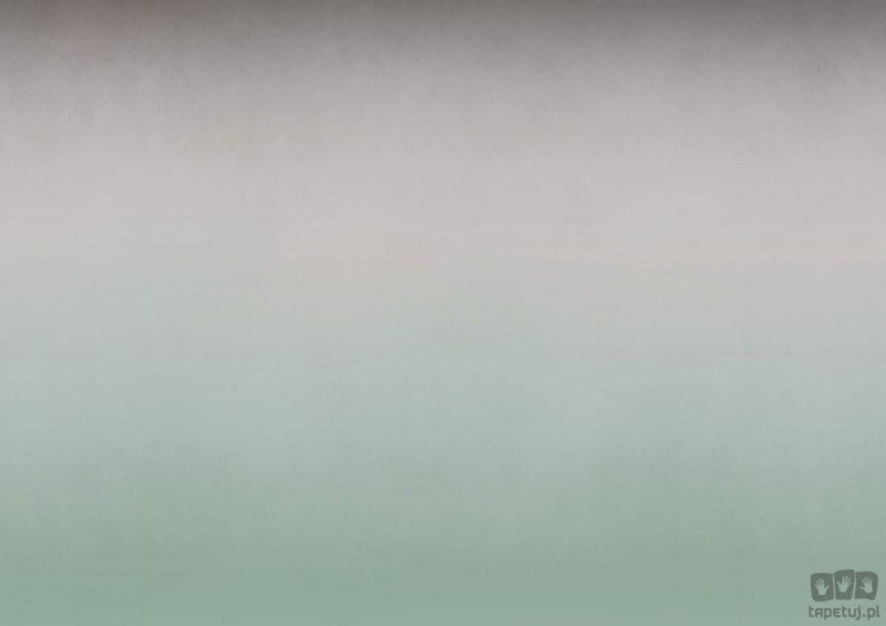 Fototapeta Ombre mint and grey
