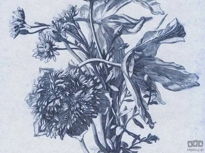 Fototapeta Blue Flower