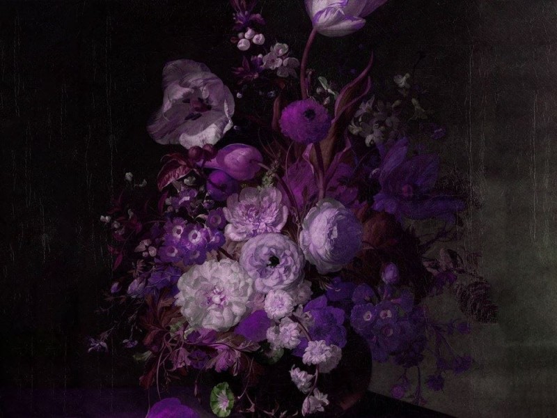 Fototapeta Violet Dream