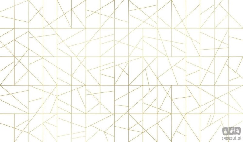 Fototapeta Cant fusion white&gold