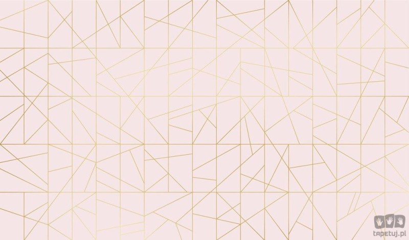 Fototapeta Cant fusion powder pink&gold