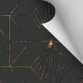 Fototapeta Fan Black&Gold