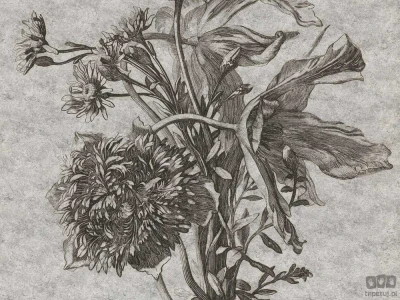 Fototapeta Grey Flower