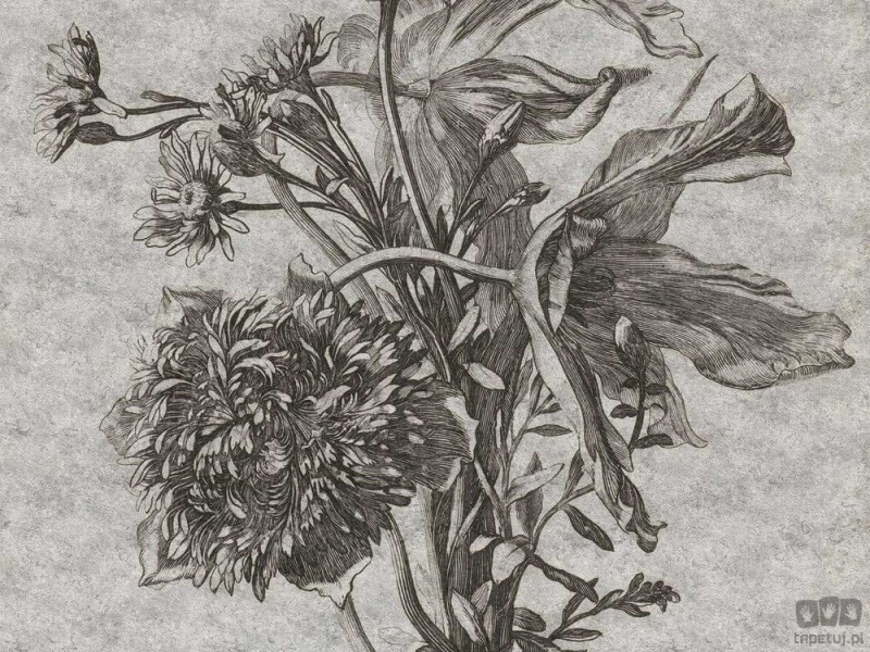 Fototapeta Grey Flower