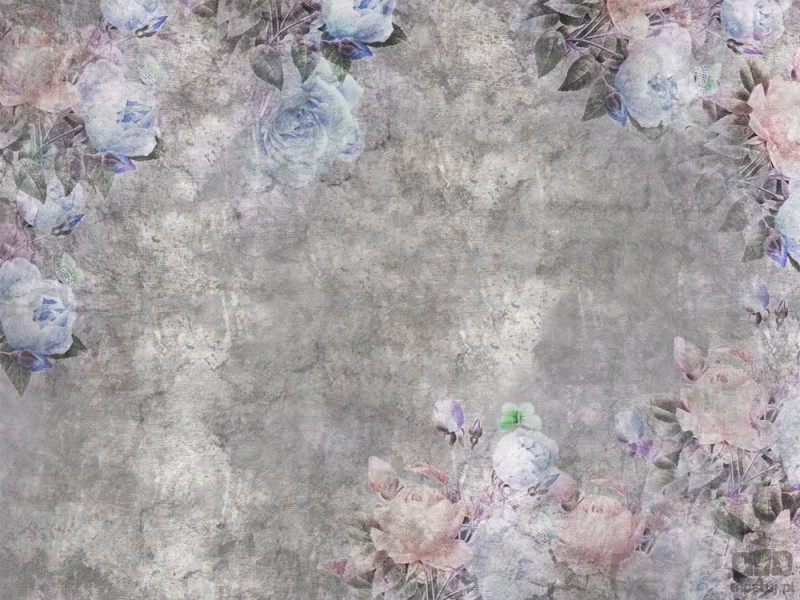 Fototapeta Stone Garden