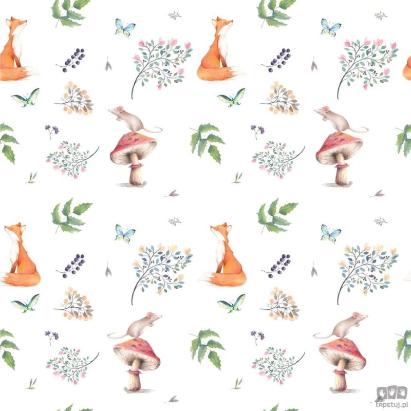 Fototapeta Little Fox