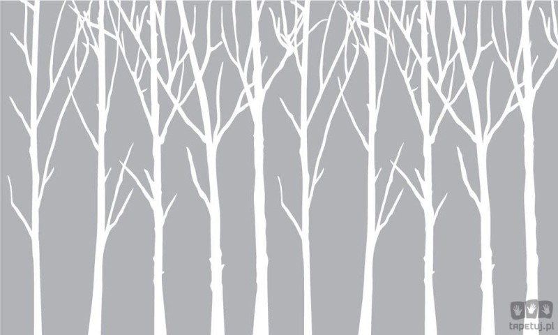 Fototapeta Bare Trees ciemnoszare tło