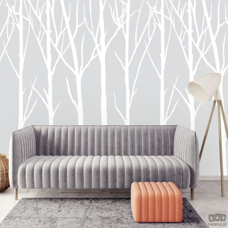 Fototapeta Bare Trees jasnoszare tło