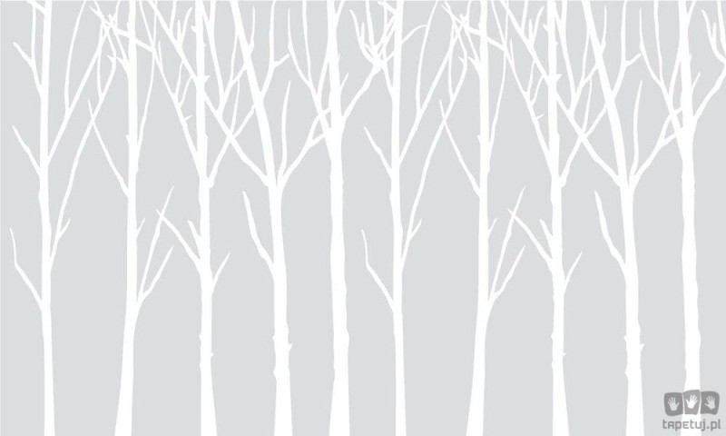 Fototapeta Bare Trees jasnoszare tło