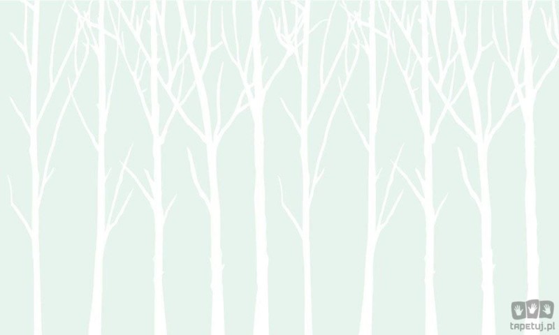 Fototapeta Bare Trees miętowy