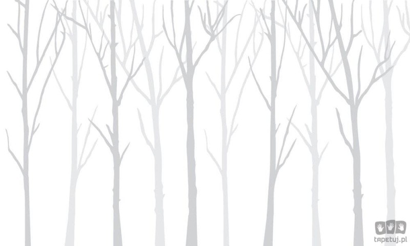 Fototapeta Bare Trees białe tło i jedno szare