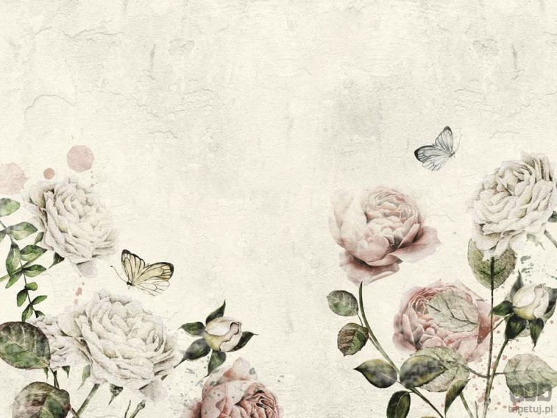 Fototapeta Rose Dream white 2