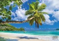Fototapeta Rajska plaża 10332