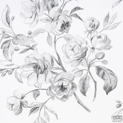 Flowers volume I P540/01 tapeta ścienna Designers Guild
