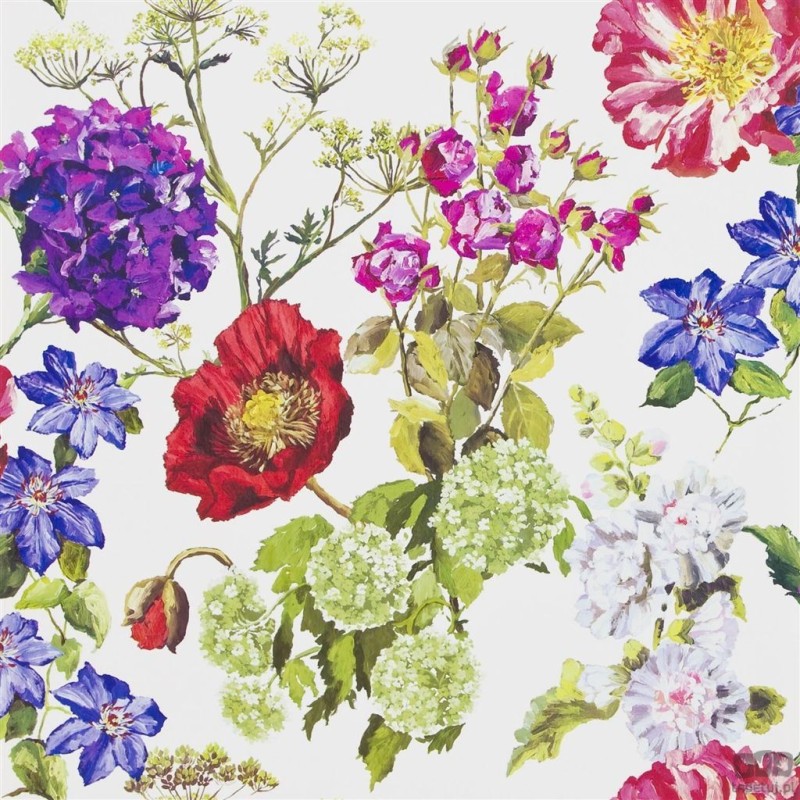 Flowers volume I P623/02 tapeta ścienna Designers Guild