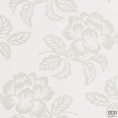 Flowers volume I PDG1020/01 tapeta ścienna Designers Guild