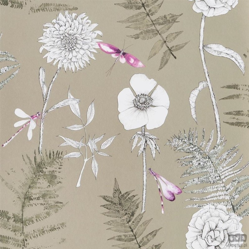 Flowers volume I PDG1022/03 tapeta ścienna Designers Guild