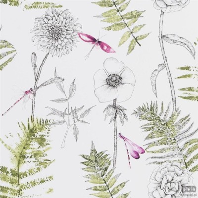 Flowers volume I PDG1022/04 tapeta ścienna Designers Guild