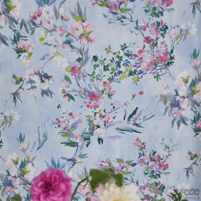 Flowers volume I PDG1024/01 tapeta ścienna Designers Guild