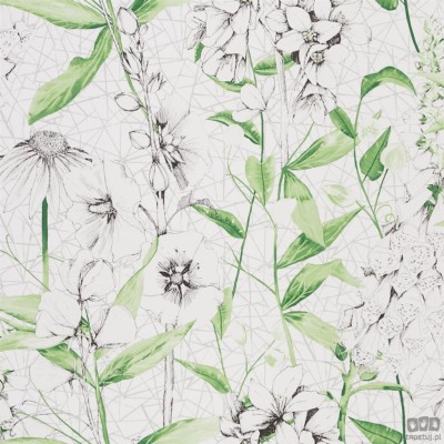 Flowers volume I PDG1050/01 tapeta ścienna Designers Guild