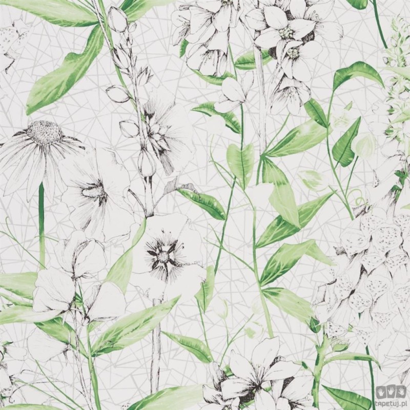 Flowers volume I PDG1050/01 tapeta ścienna Designers Guild
