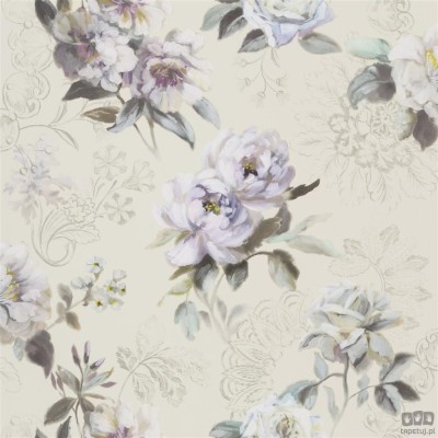 Flowers volume I PDG1051/01 tapeta ścienna Designers Guild