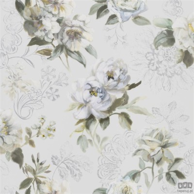 Flowers volume I PDG1051/02 tapeta ścienna Designers Guild