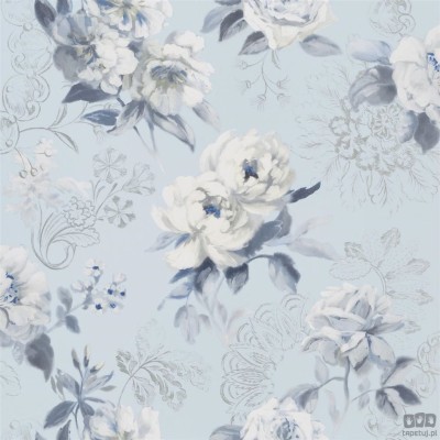 Flowers volume I PDG1051/03 tapeta ścienna Designers Guild