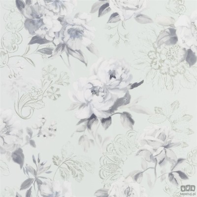 Flowers volume I PDG1051/04 tapeta ścienna Designers Guild