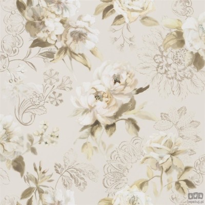 Flowers volume I PDG1051/05 tapeta ścienna Designers Guild