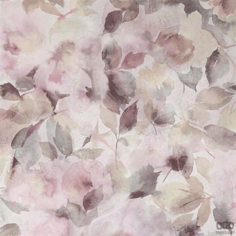 Flowers volume I PDG1062/02 tapeta ścienna Designers Guild