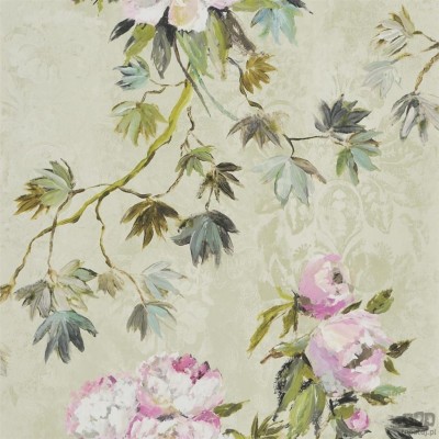 Flowers volume I PDG673/01 tapeta ścienna Designers Guild