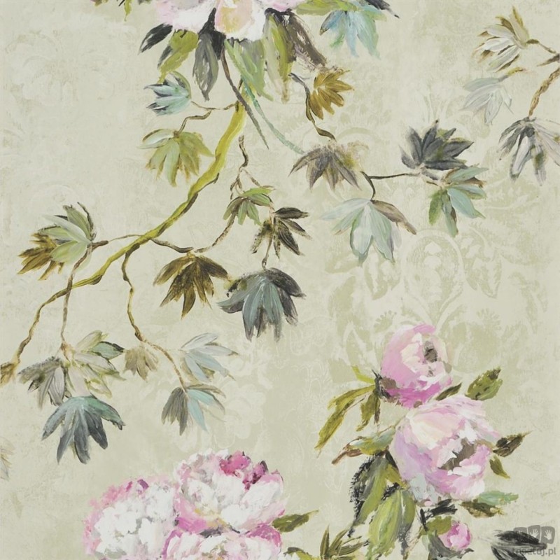 Flowers volume I PDG673/01 tapeta ścienna Designers Guild