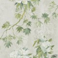 Flowers volume I PDG673/05 tapeta ścienna Designers Guild