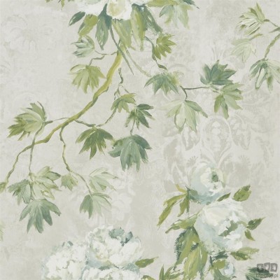 Flowers volume I PDG673/05 tapeta ścienna Designers Guild