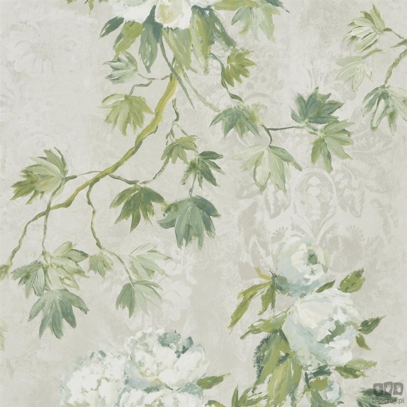 Flowers volume I PDG673/05 tapeta ścienna Designers Guild