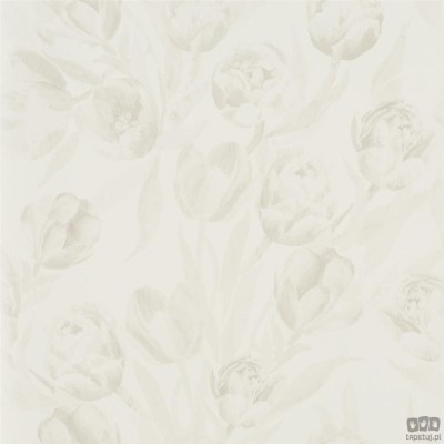 Flowers volume I PDG685/05 tapeta ścienna Designers Guild
