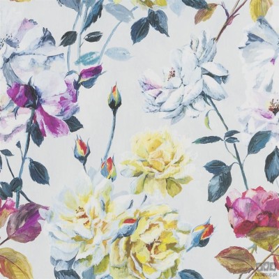 Flowers volume I PDG711/01 tapeta ścienna Designers Guild