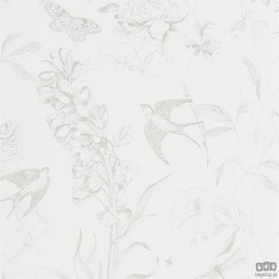Flowers volume I PDG714/02 tapeta ścienna Designers Guild