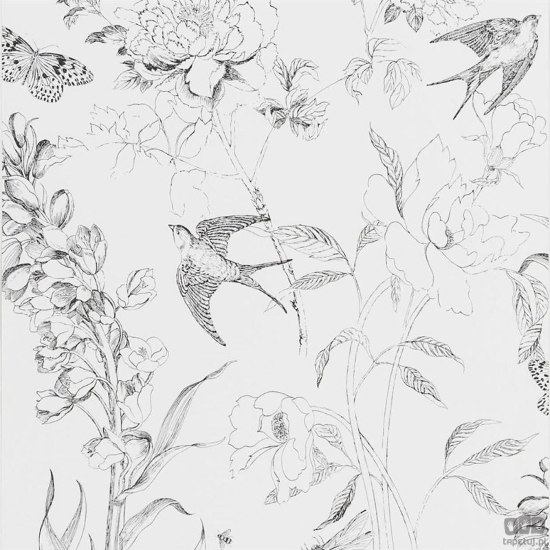 Flowers volume I PDG721/01 tapeta ścienna Designers Guild