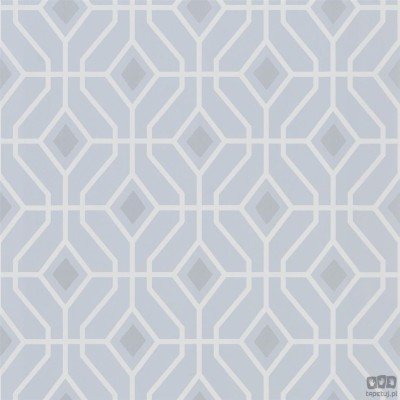 Geometrics volume I PDG1026/03 tapeta ścienna Designers Guild