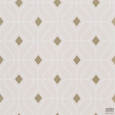 Geometrics volume I PDG1026/08 tapeta ścienna Designers Guild