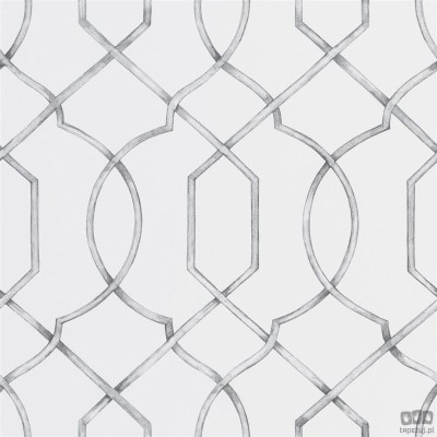Geometrics volume I PDG1027/01 tapeta ścienna Designers Guild