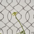 Geometrics volume I PDG1027/01 tapeta ścienna Designers Guild
